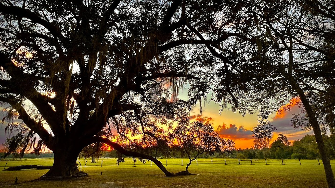 Woodlawn Plantation