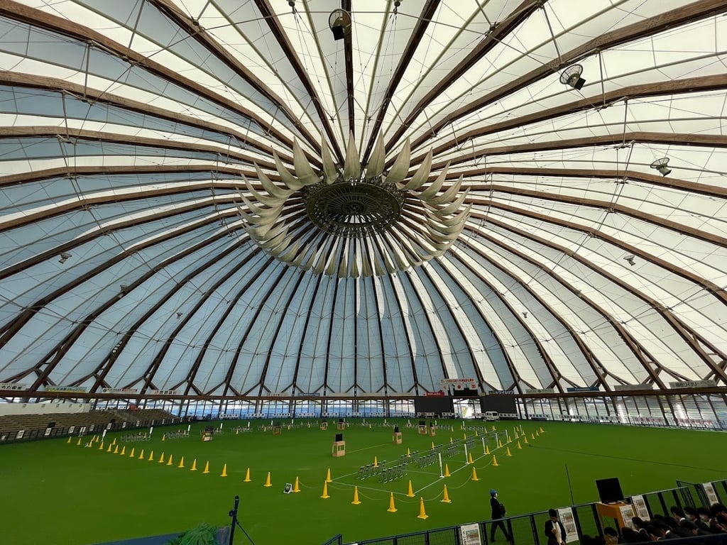 Izumo Dome