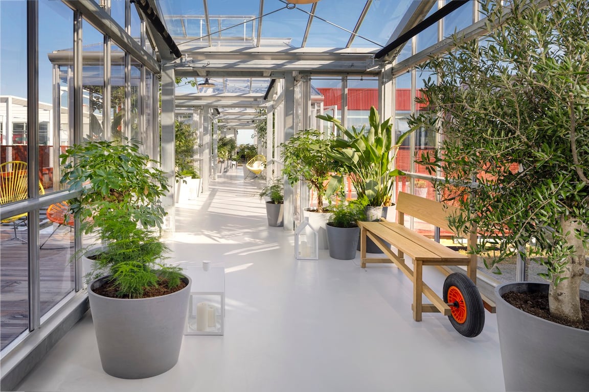 The Olive Tree Loft