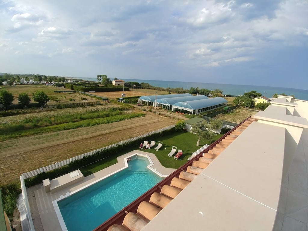 Hotel Palmensis