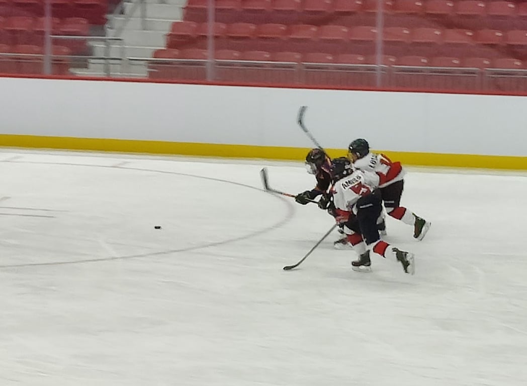 Herb Brooks National Hockey Center