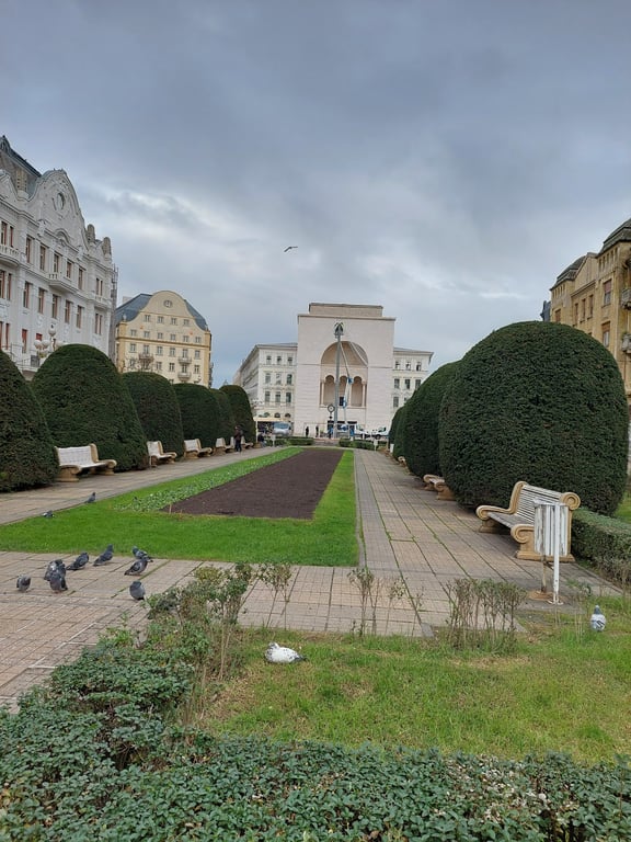 Romanian National Opera, Timișoara