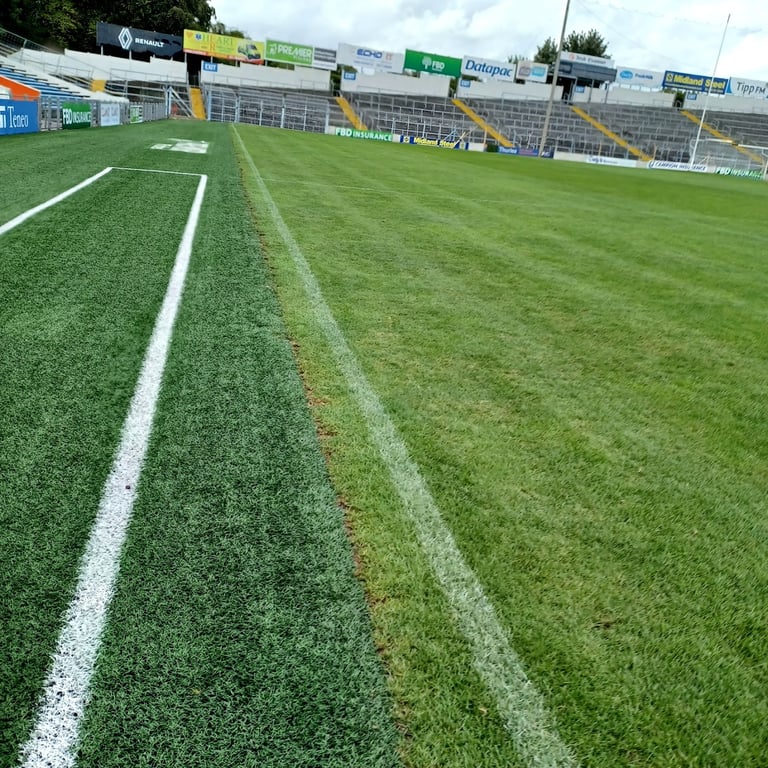 Semple Stadium