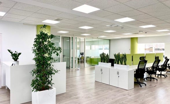 Diseño Digs