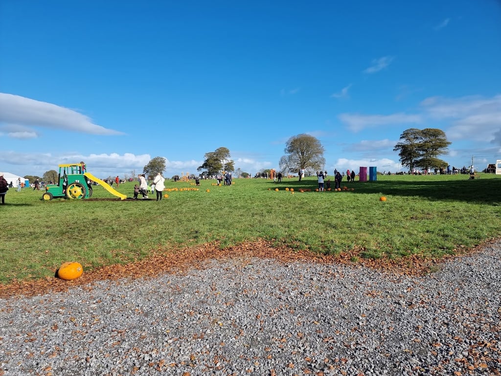 Galway Pumpkin Patch