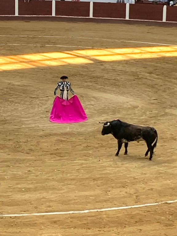 Leon Arena