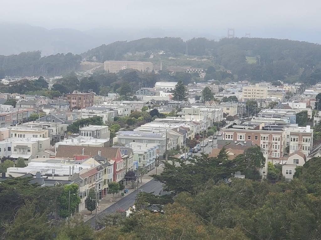 de Young Museum