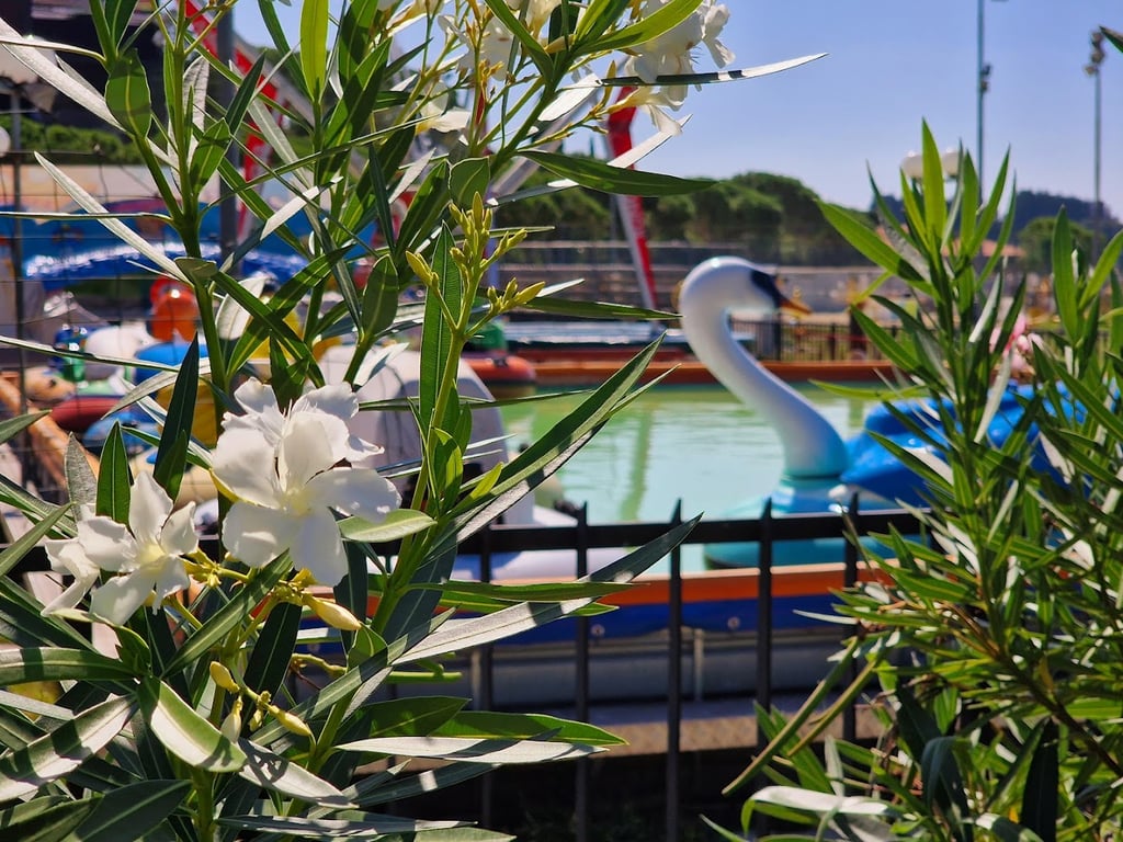 Family Park Portoroz