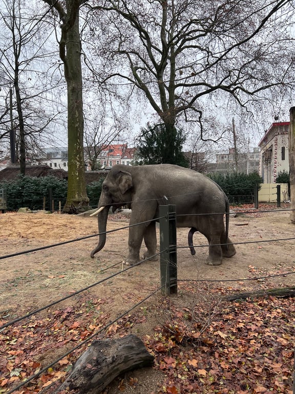 ZOO Antwerpen
