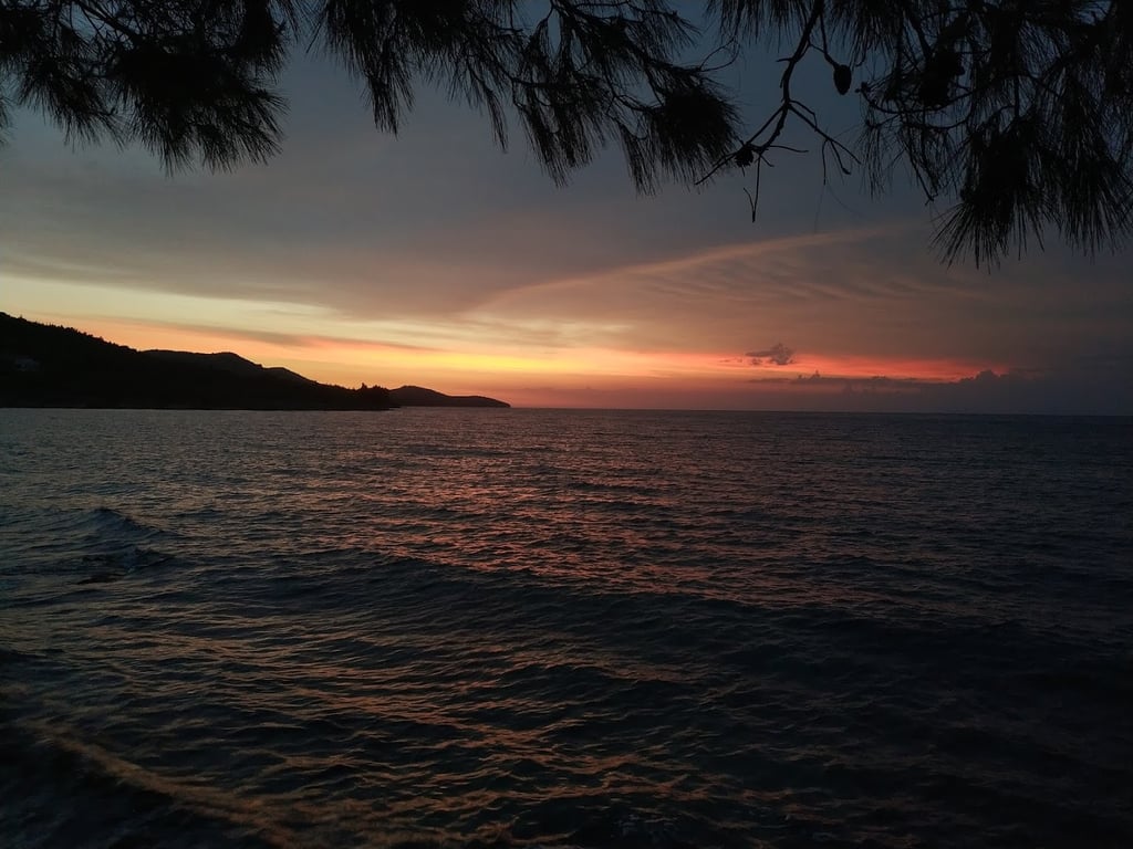 Olive Bay