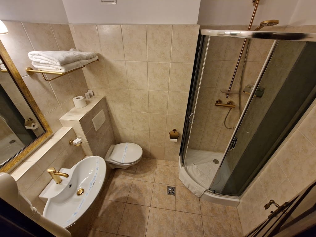 Hotel Carol