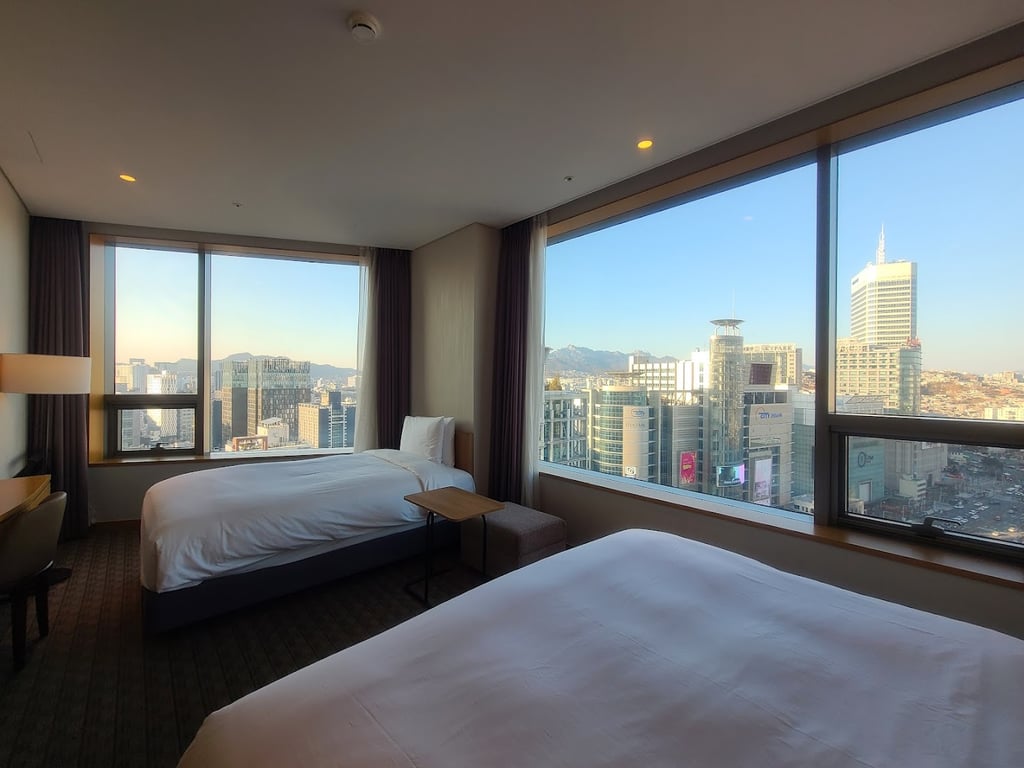 Sotetsu Hotels The Splaisir Seoul Dongdaemun