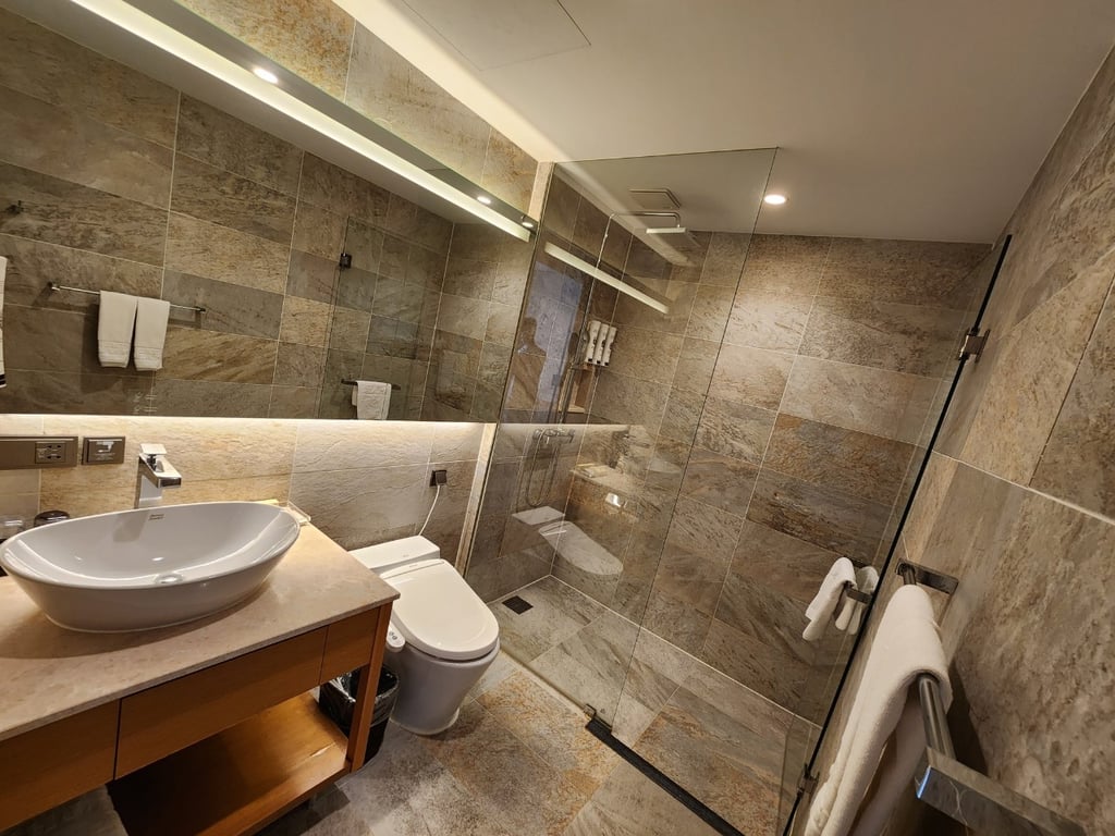 Sotetsu Hotels The Splaisir Seoul Dongdaemun