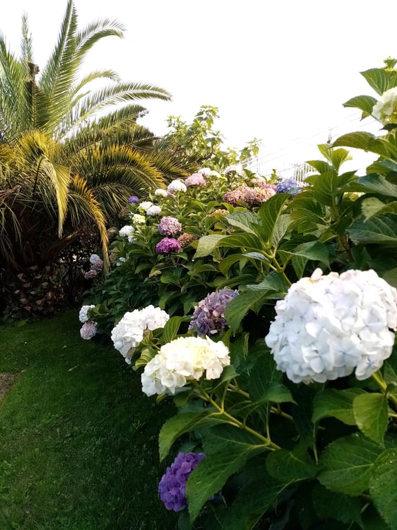 Quinta da Costa