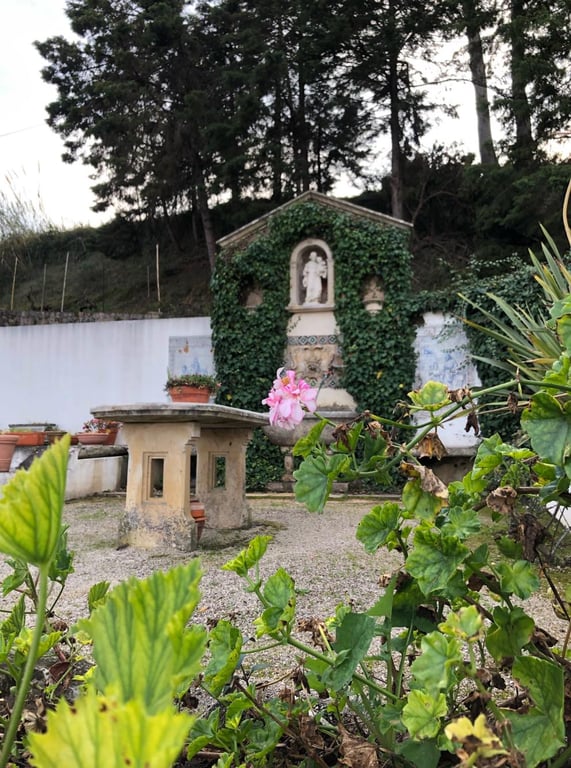 Quinta De São José Coimbra