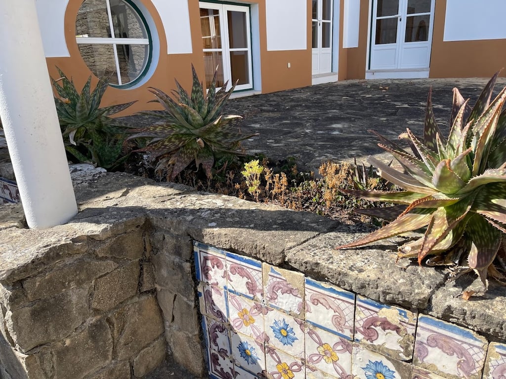 Quinta da Murta
