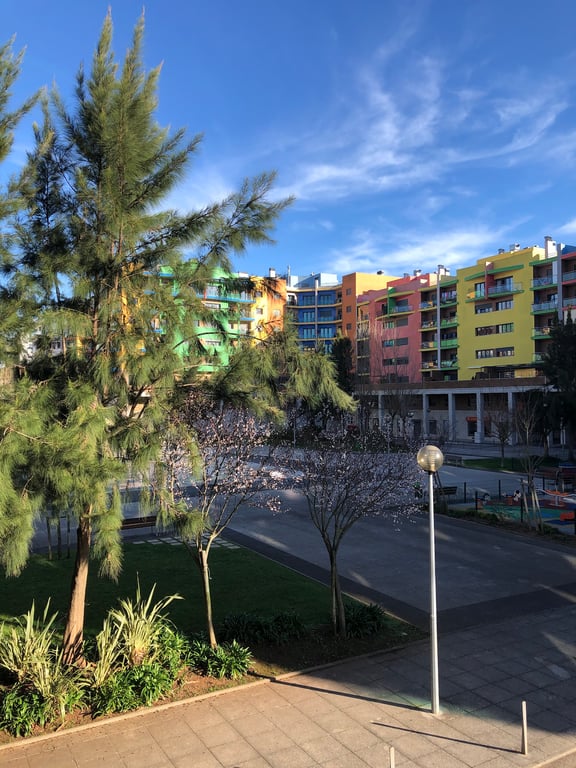 O Jardim - Academia de Criatividade