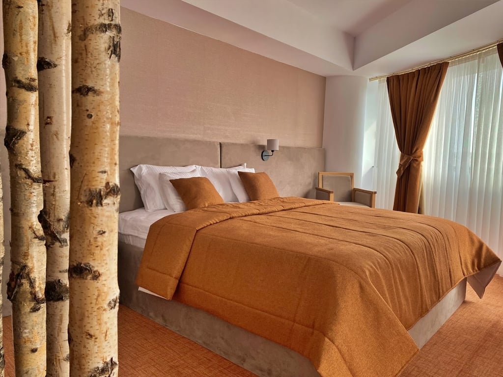 Hotel Condor Tulcea