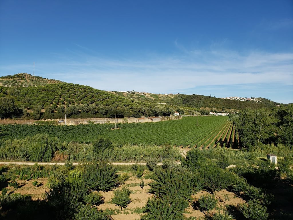 Quinta de D. Carlos