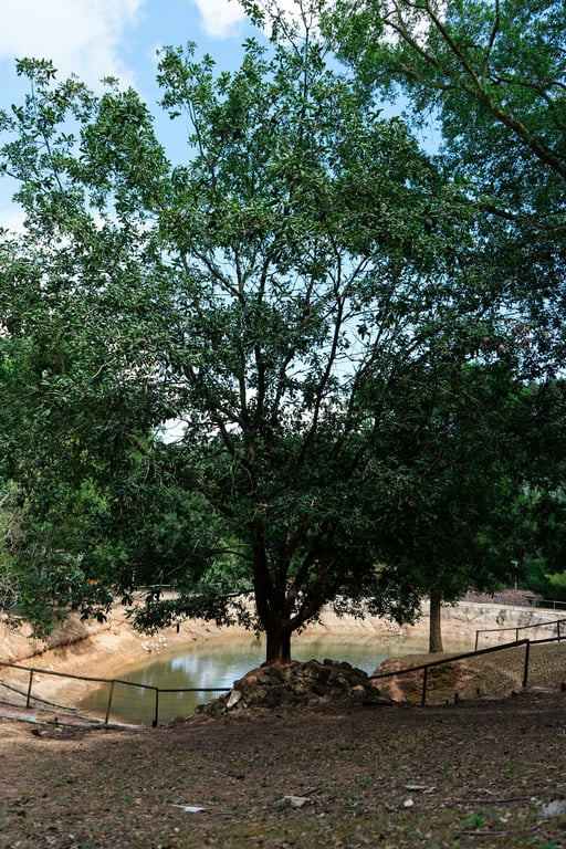 Quinta Vale D'Água