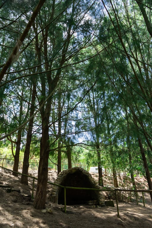 Quinta Vale D'Água
