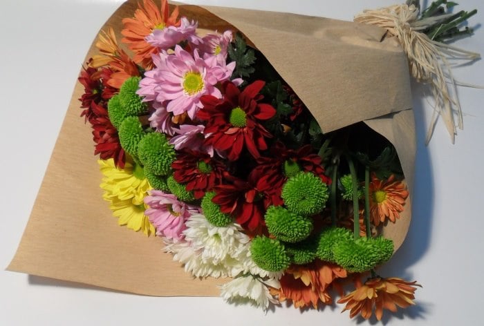 Miraflor Lda