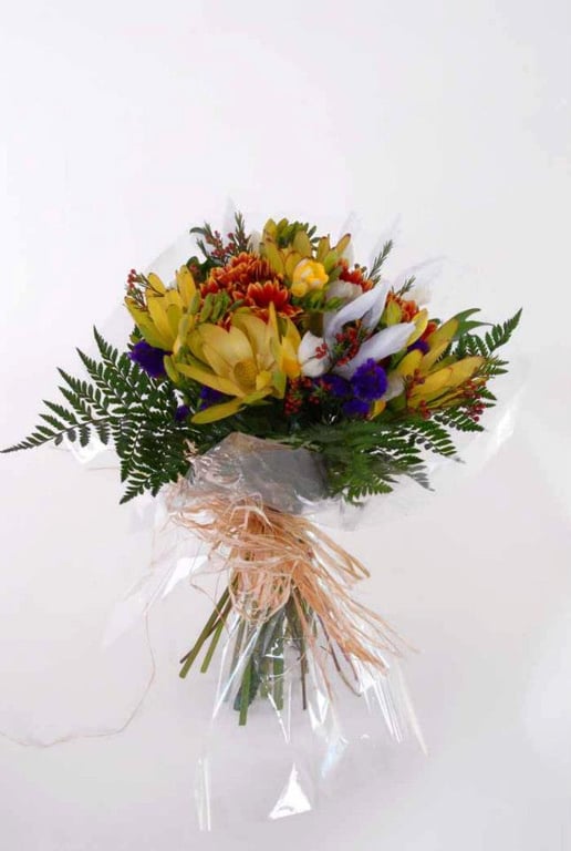 Miraflor Lda