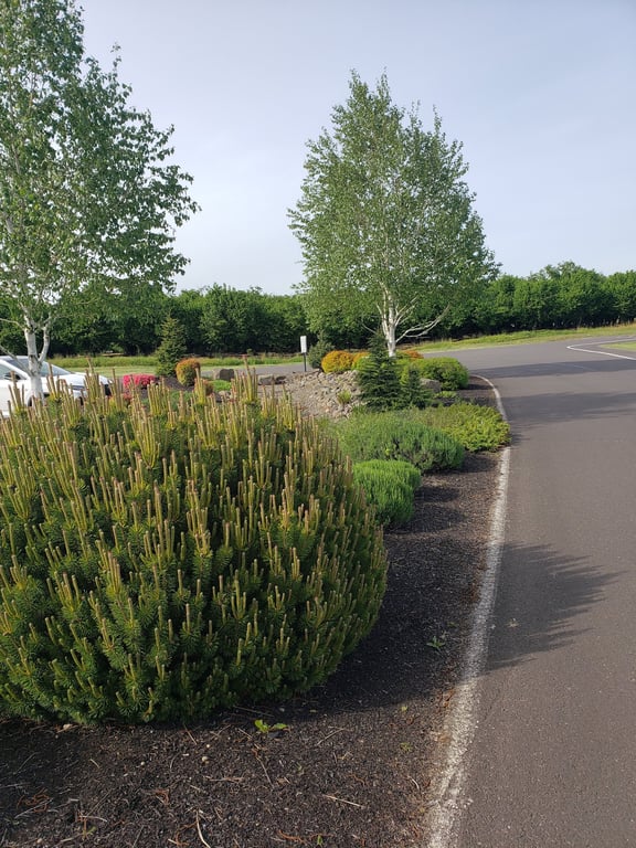 Shadow Hills Country Club