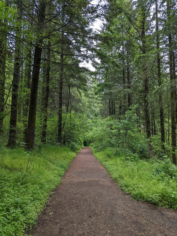 Cooper Park