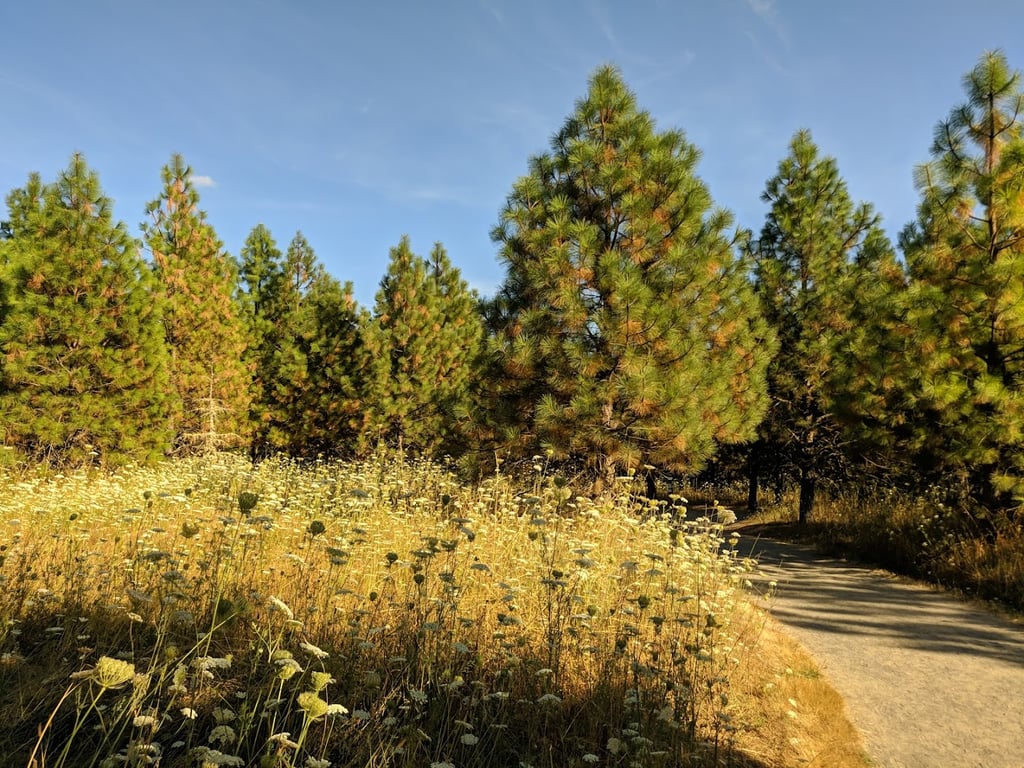 Cooper Park