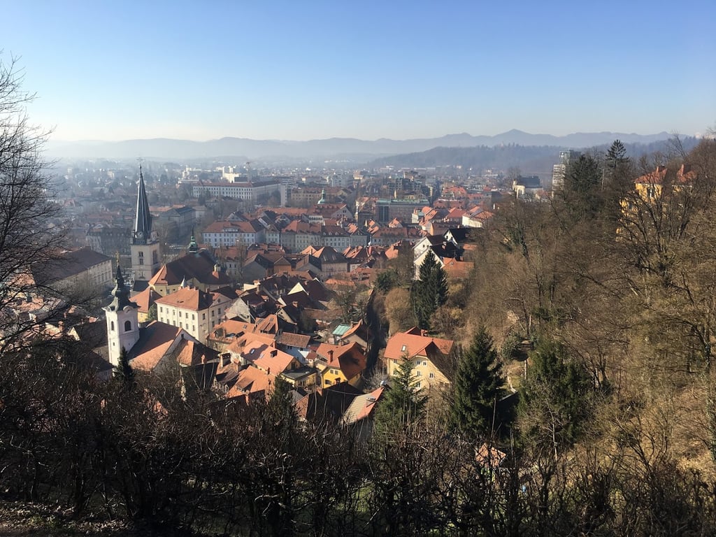 Castle Vineyard Ljubljana