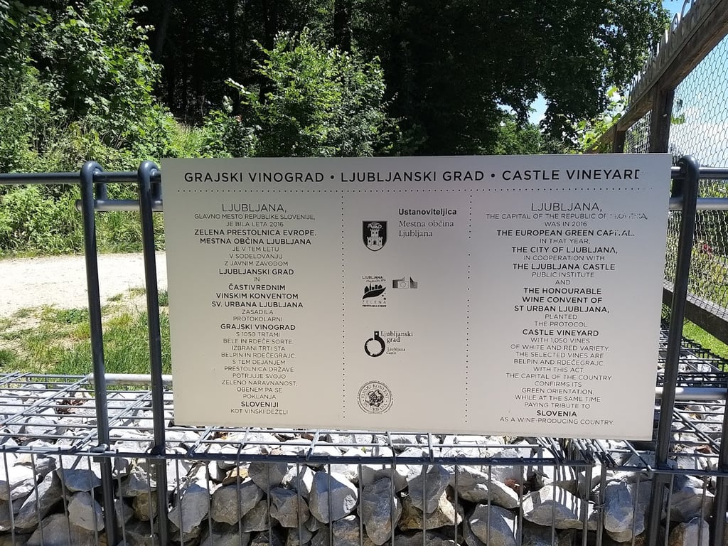Castle Vineyard Ljubljana