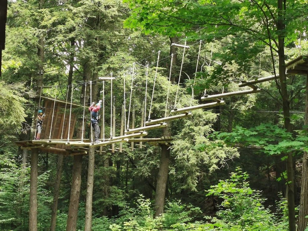 Treetop Eco-Adventure