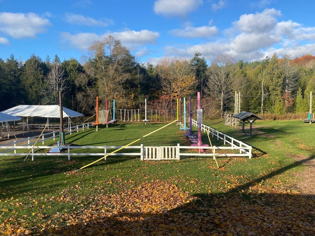 Treetop Eco-Adventure