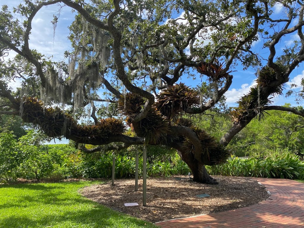 Marie Selby Botanical Gardens