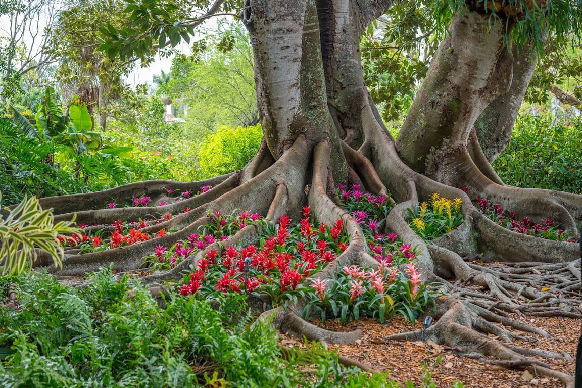 Marie Selby Botanical Gardens