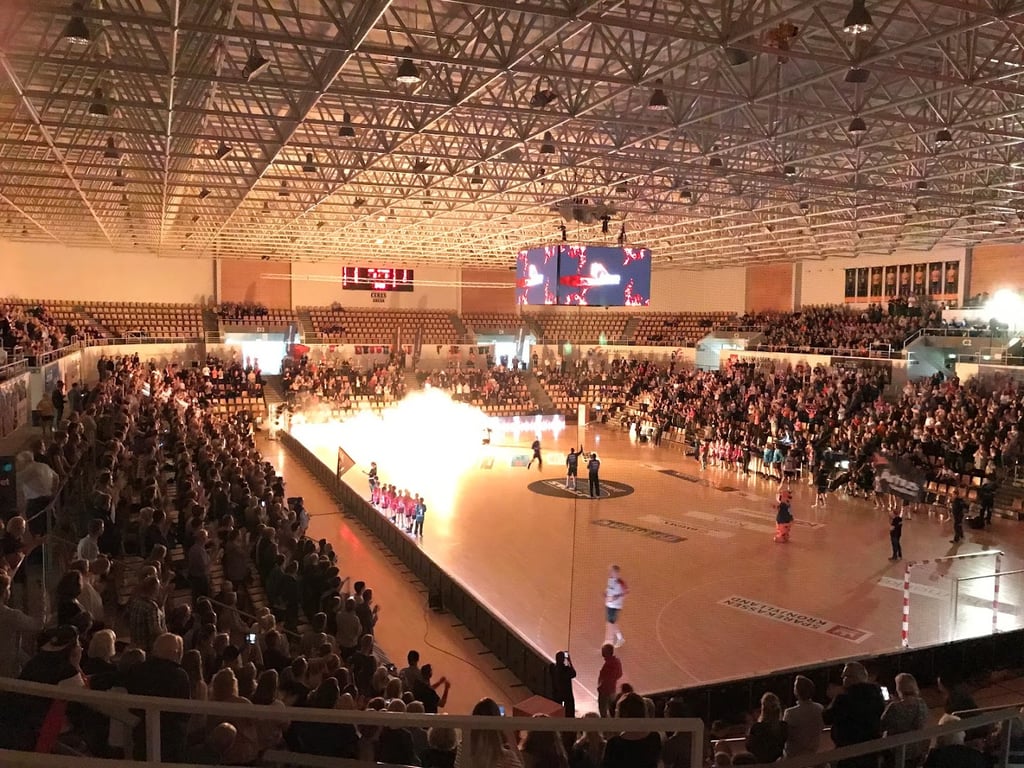 Skovens Arena