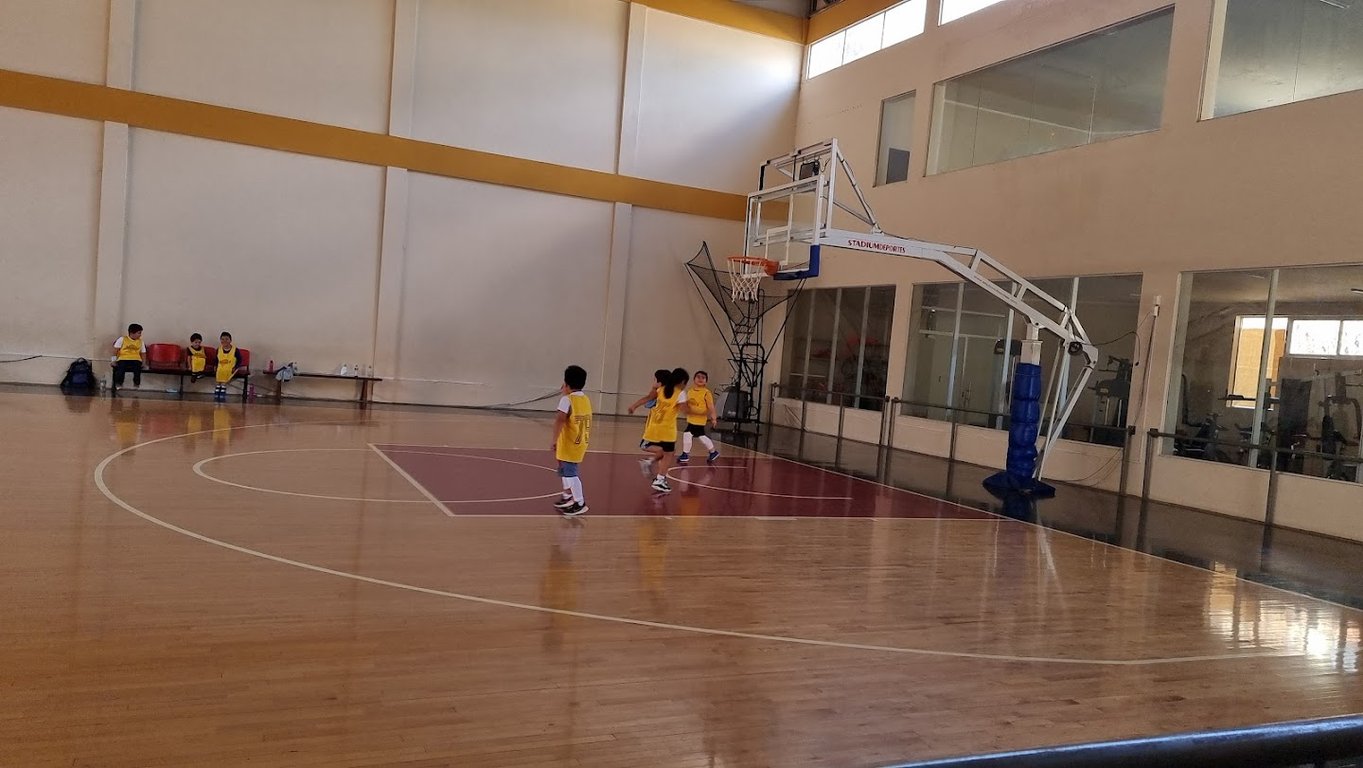 Coliseo Guadalquivir