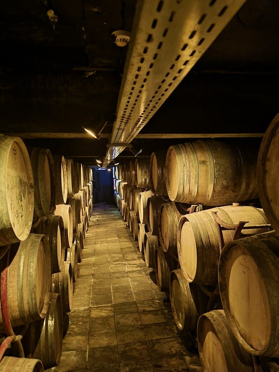 Katogi Averoff Hotel & Winery