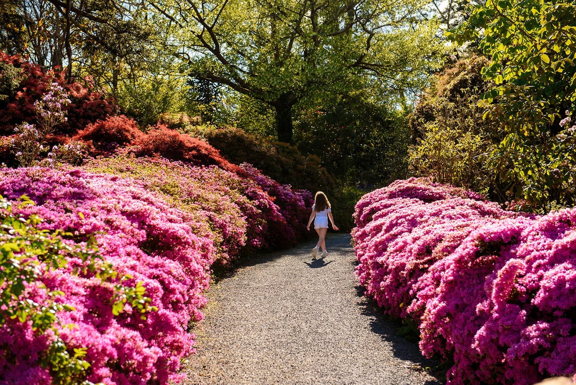 Mount Congreve Gardens