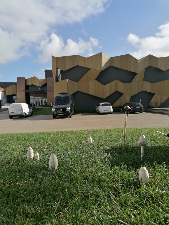 Quinta da Almiara