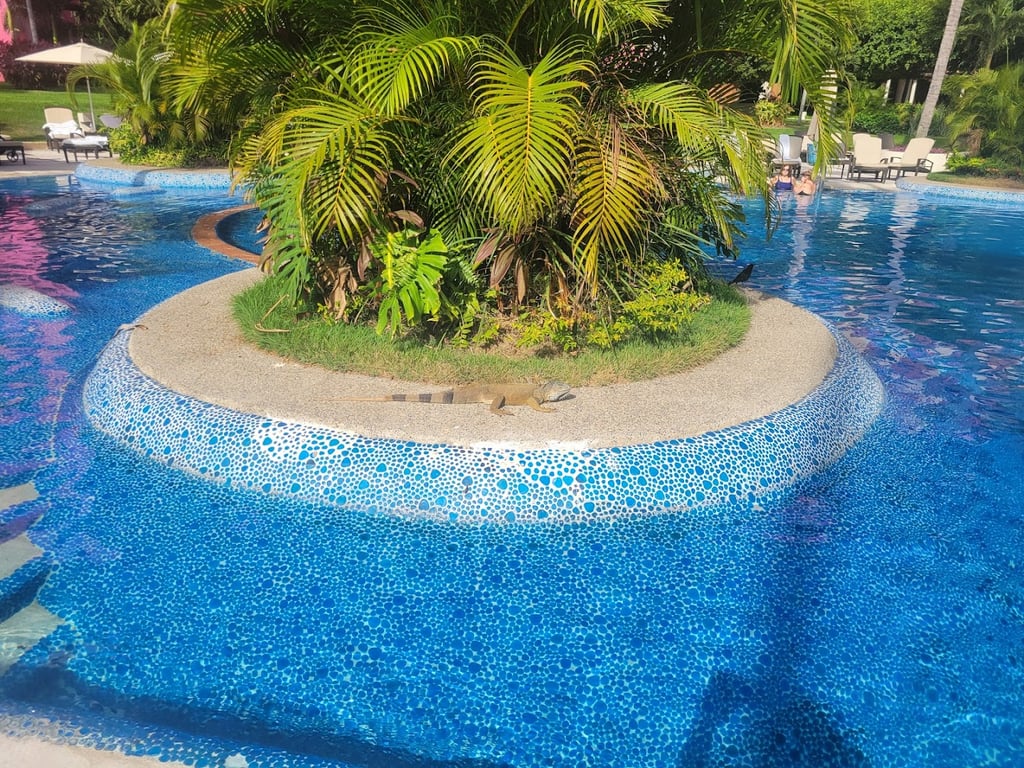 The Westin Resort & Spa, Puerto Vallarta