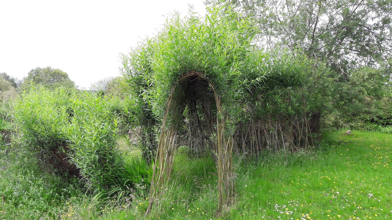 Crann Og Eco Farm
