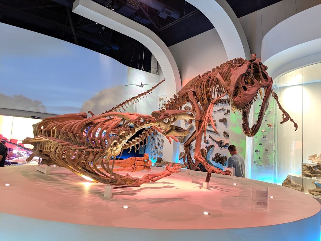 Fort Worth Museum of Science and History