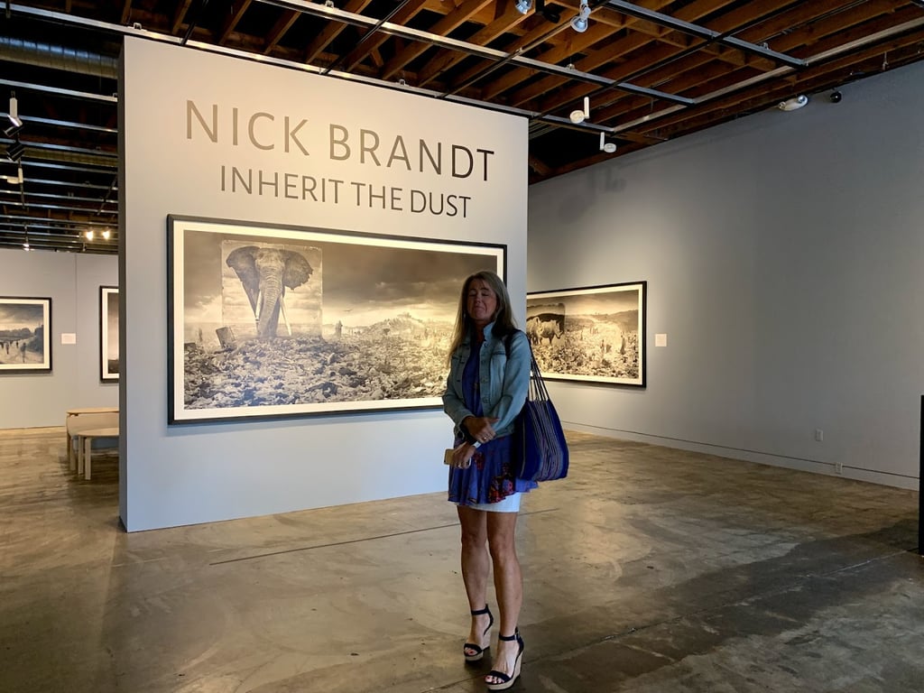 Sonoma Valley Museum of Art