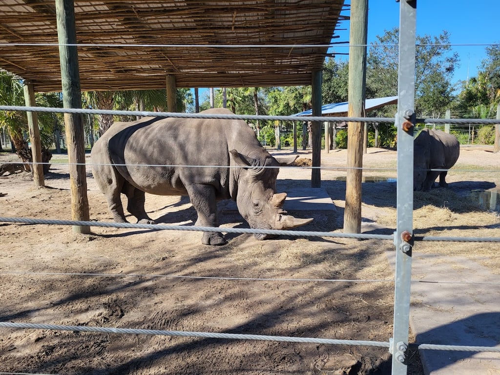 Lowry Park Zoo