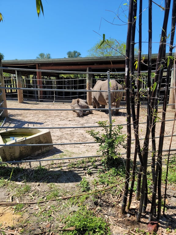 Lowry Park Zoo