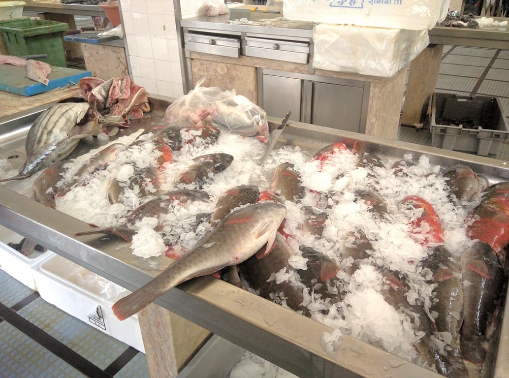 Armazém do Mercado