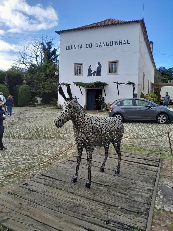 Montejunto Eden