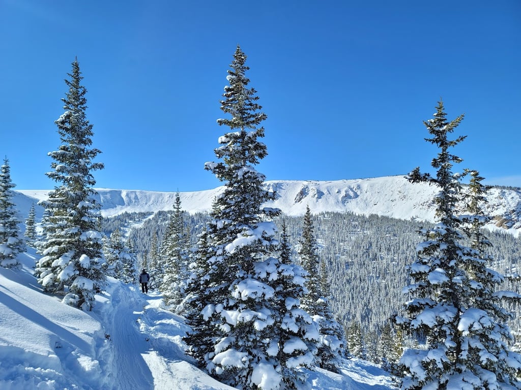 Winter Park Resort